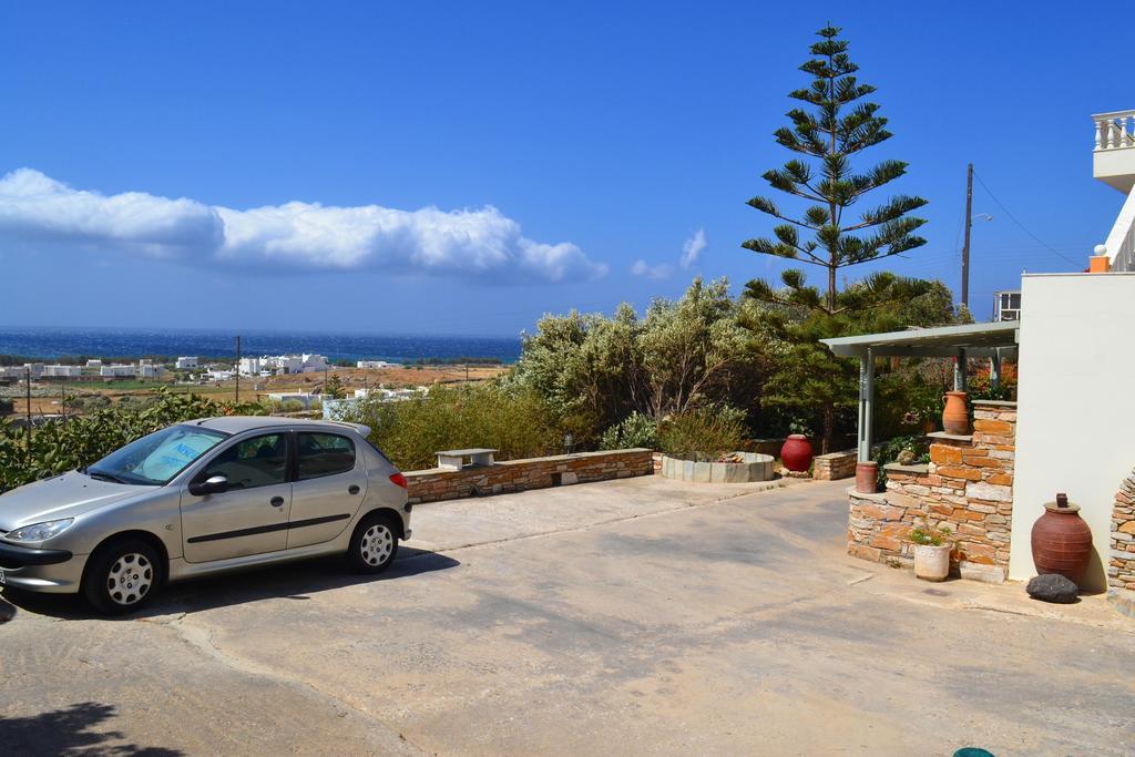 Stelios Zalonis Apartment Tinos
