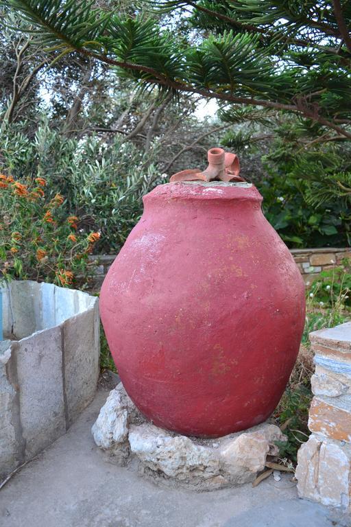 Apartment Stelios Zalonis Tinos